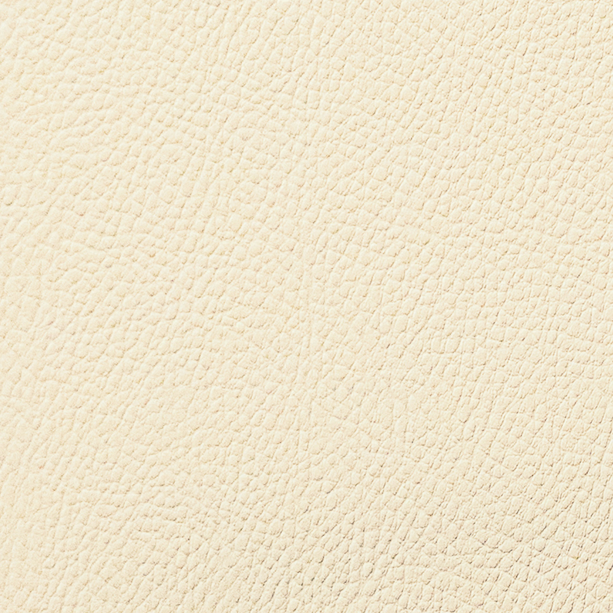 Avorio
